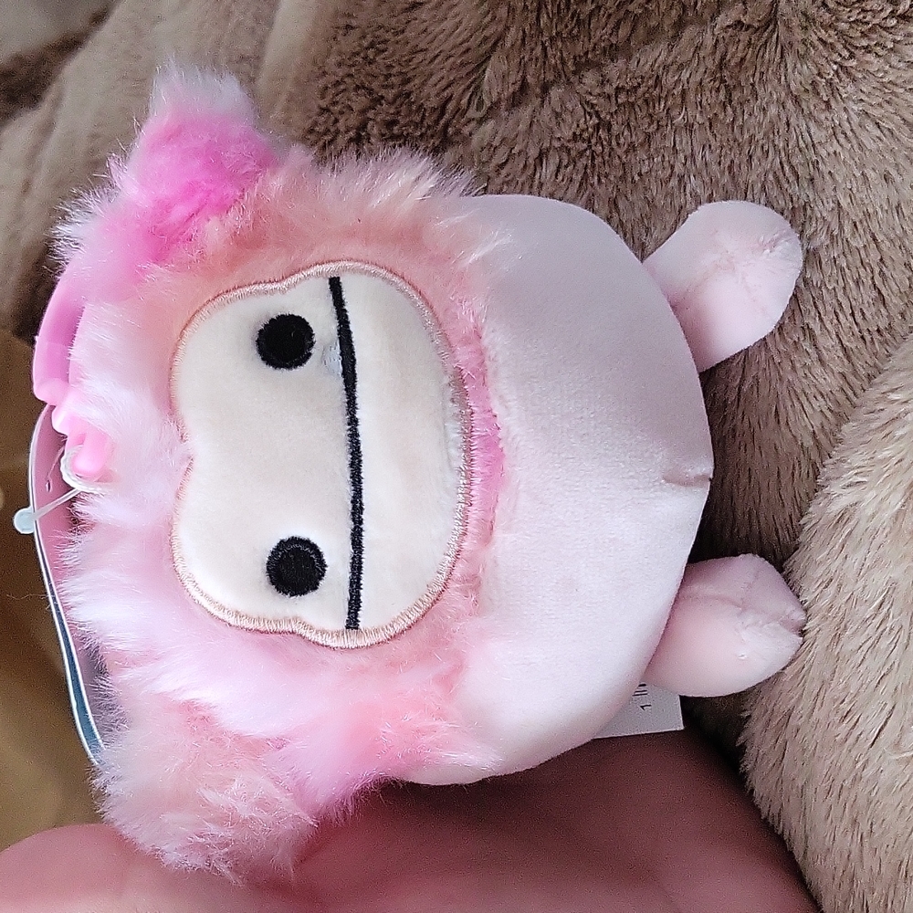 Squishmallow caparinne